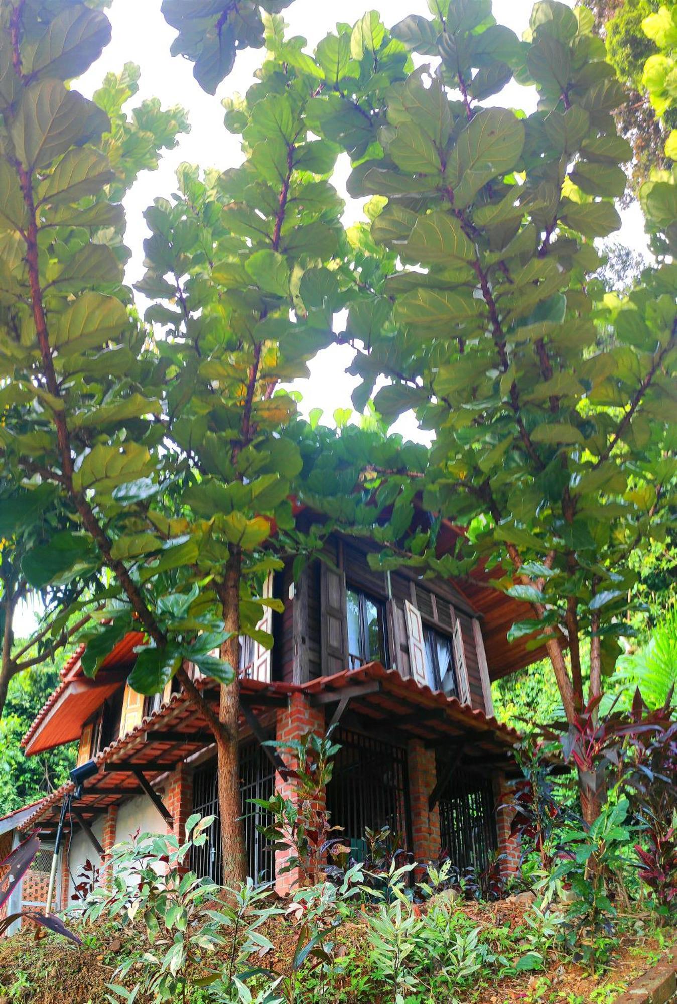 Bed and Breakfast S'Ekar Pinang Langkawi Pantai Cenang  Zewnętrze zdjęcie