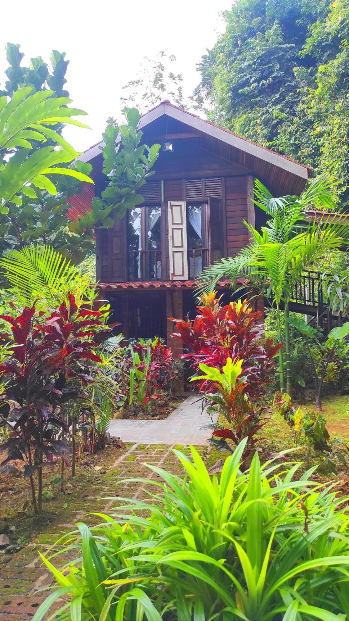 Bed and Breakfast S'Ekar Pinang Langkawi Pantai Cenang  Zewnętrze zdjęcie